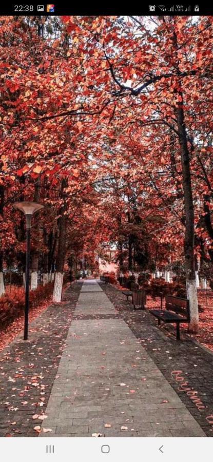 Gamsakhurdia Street Borjomi Esterno foto