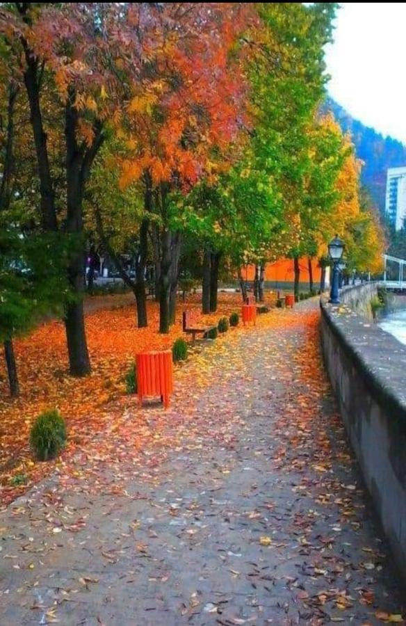 Gamsakhurdia Street Borjomi Esterno foto