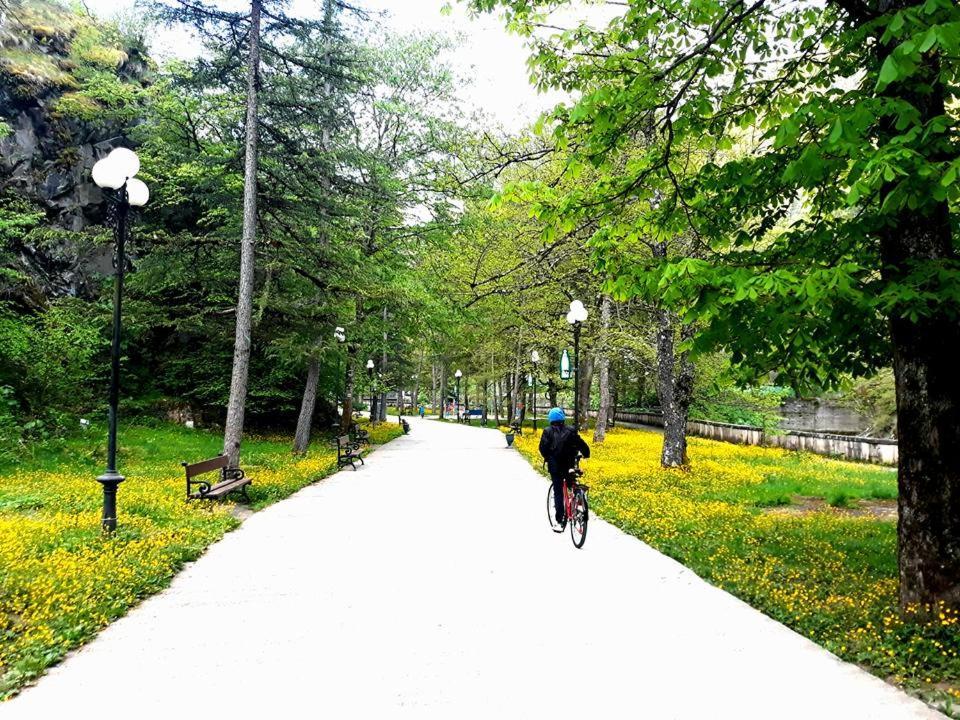 Gamsakhurdia Street Borjomi Esterno foto