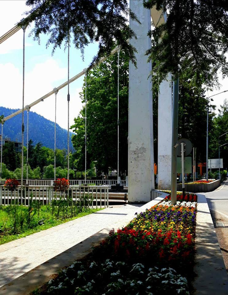 Gamsakhurdia Street Borjomi Esterno foto